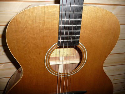 アコギ SAMICK Greg Bennett TAJ－1