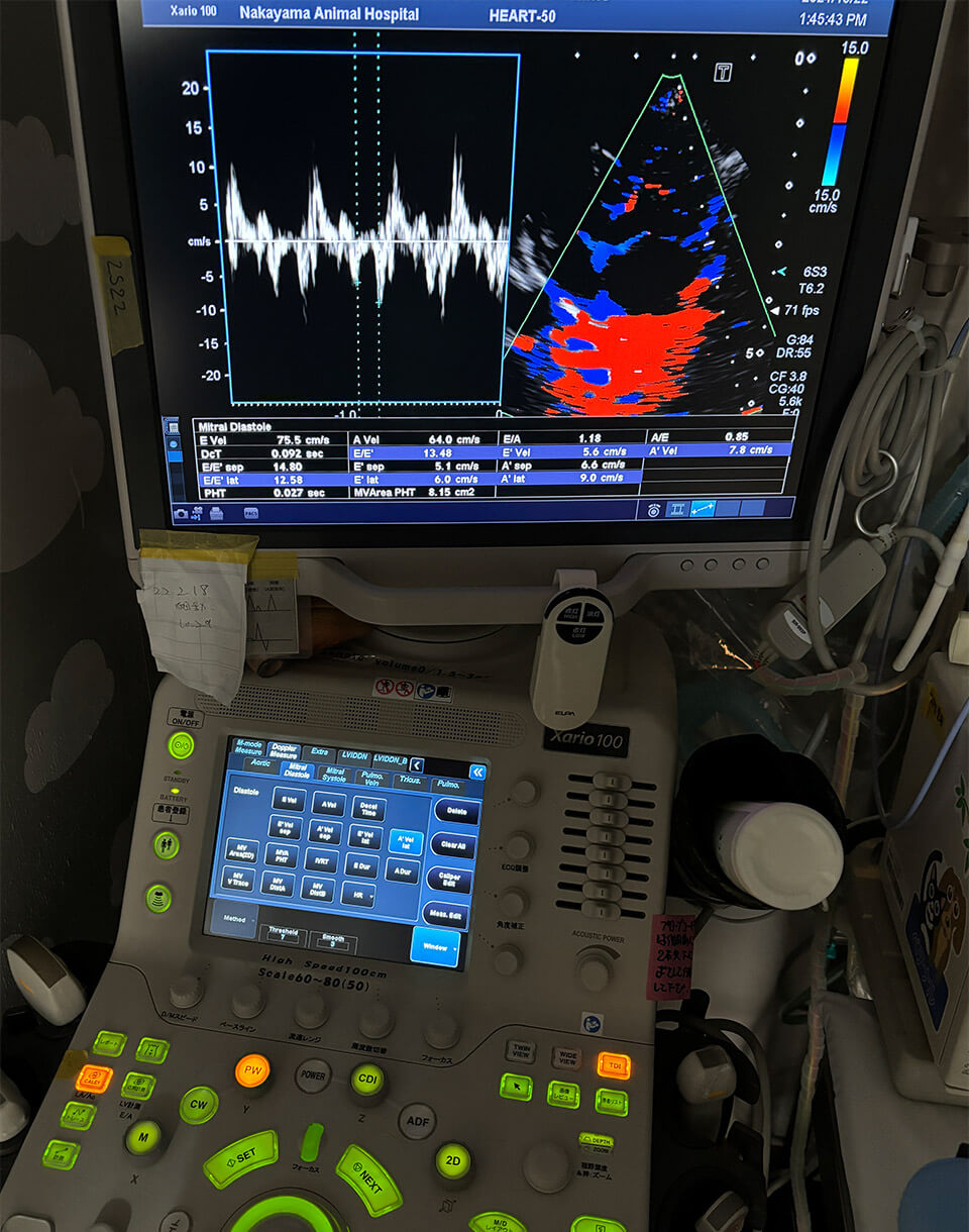循環器（心エコー検査、心臓計測、血圧測定、心電図検査）