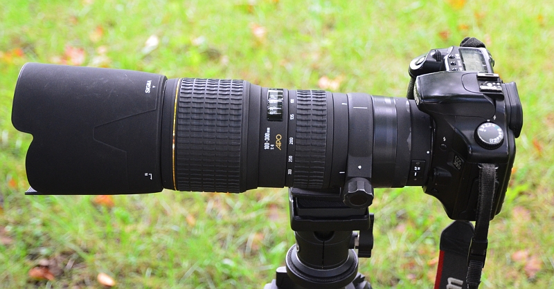 Sigma 100-300 f4 review - oldshutterhand.com