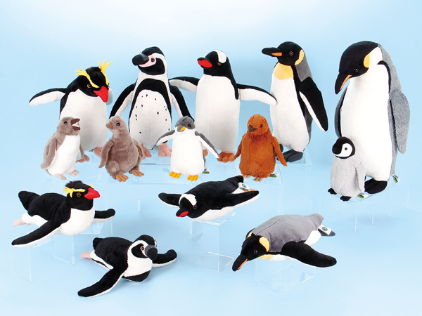 PENGUINS OF THE WORLD ペンギンズ オブ ザ ワールド | BRANDS