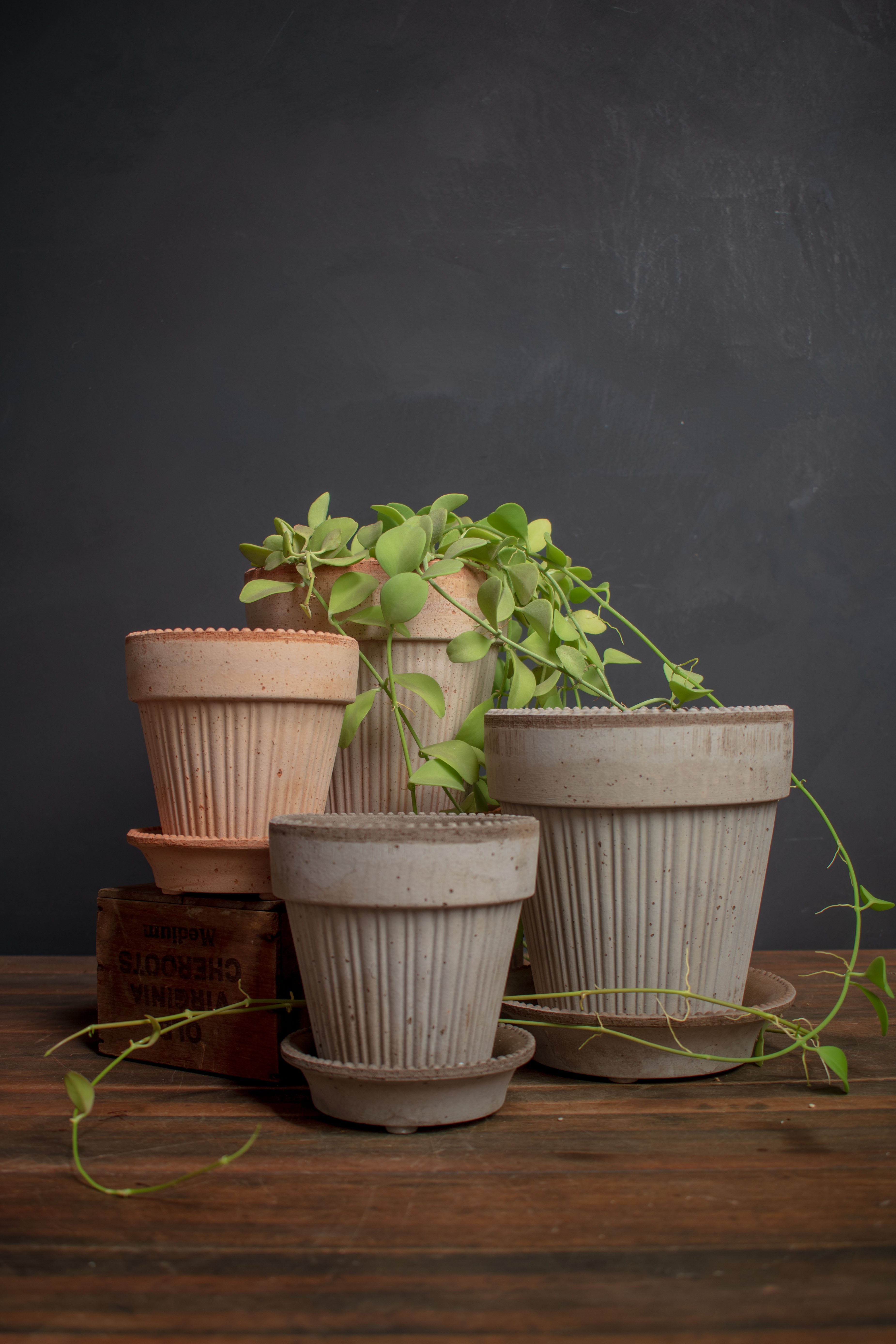 Bergs Potter Simona Pot and Saucer Set – Crimson Horticultural