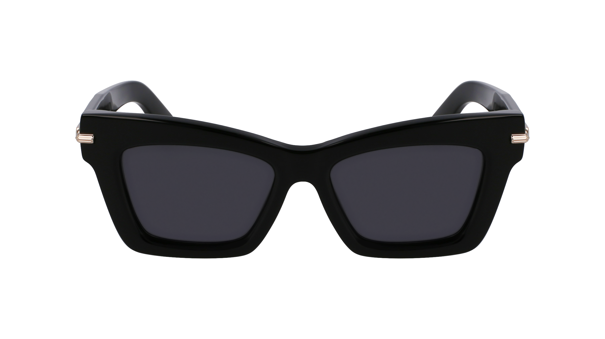 Ferragamo SF2031S 1 - Black Sunglasses | LookerOnline