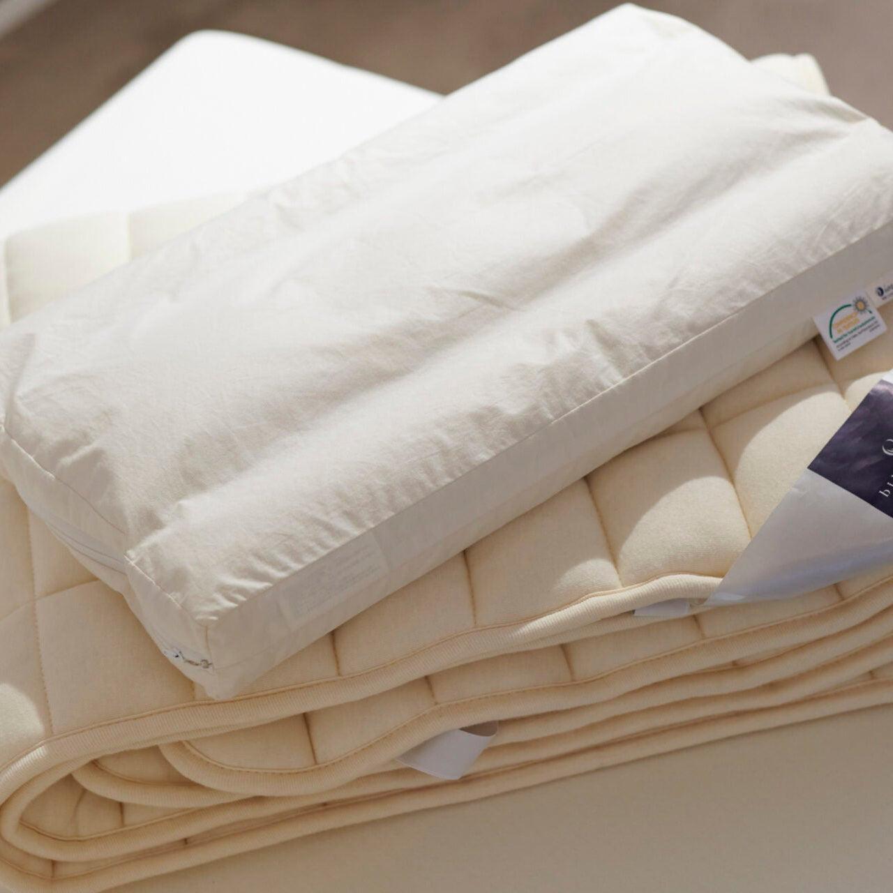 キャメルピロー – _衣食住眠