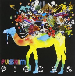 邦楽 Pushim / a song dedicated 12inch PUSHIM - a song dedicated
