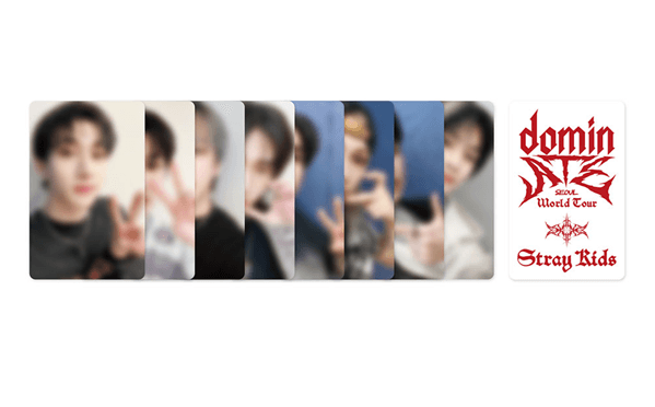 STRAY KIDS WORLD TOUR DOMINATE SEOUL (DVD) | INCLUDES PRE ORDER