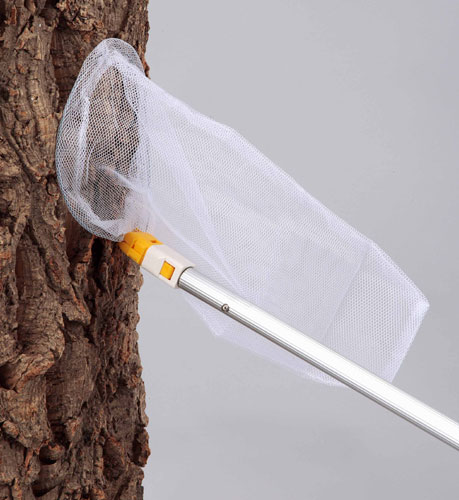 捕虫網・昆虫採集 :: 44331 [KNB-450] 超なが！スーパーロング ピン