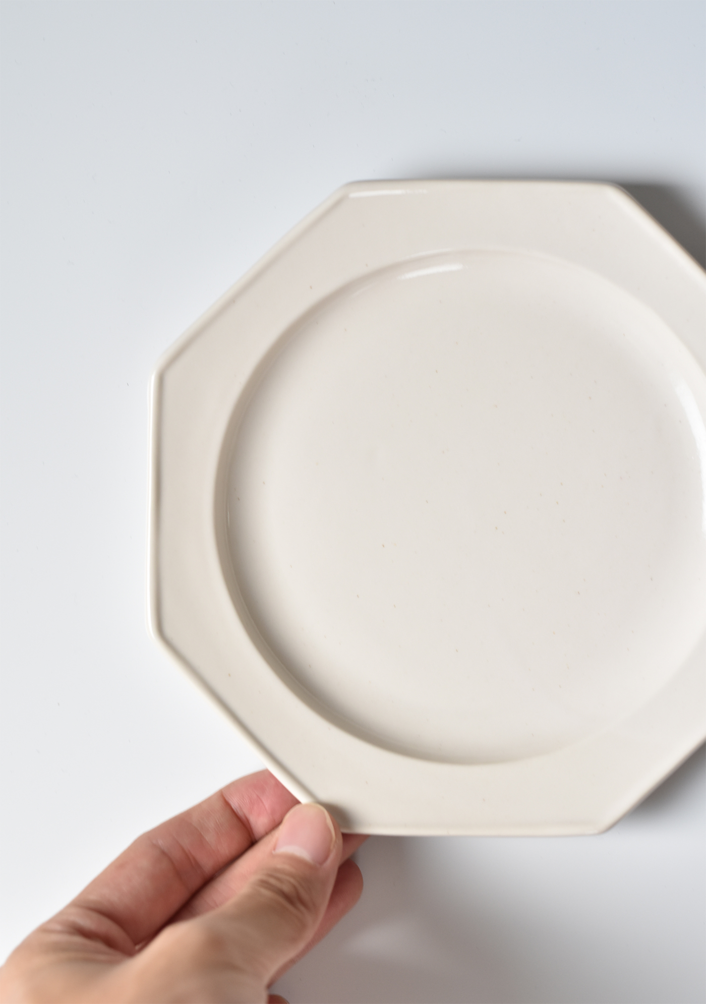 gallery yaichi | permanent artist | 岡田直人 | 八角平皿