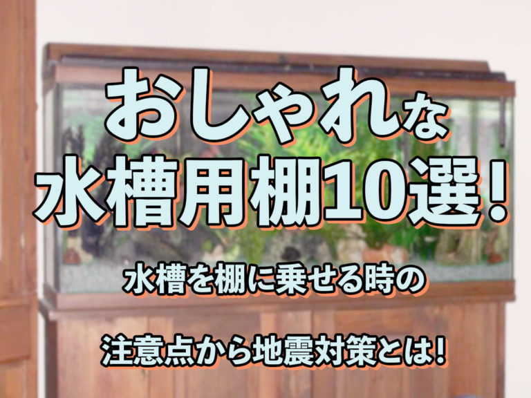 おしゃれな水槽用棚10選｜水槽を棚に載せる時の注意点から地震対策とは