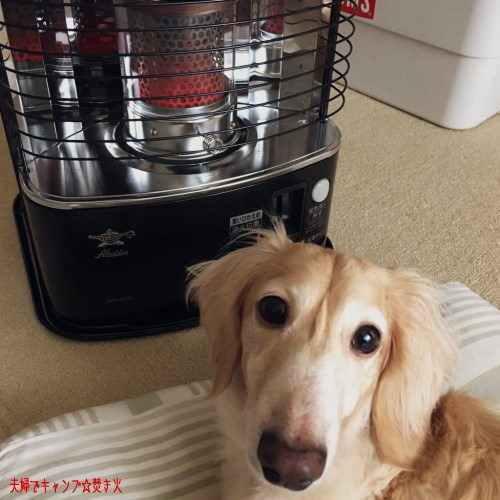 Aladdin AKP-S248 ストーブ 7〜9畳 アラジン Aladdin AKP-S248 石油ストーブ [木造7畳まで /コンクリート9