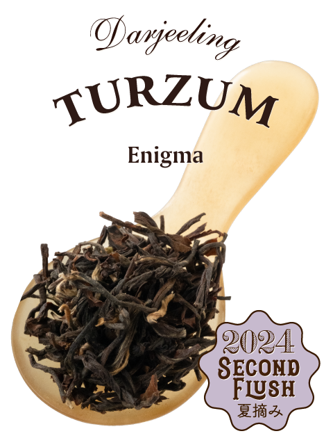 ダージリン 2024年 セカンドフラッシュ タルザム茶園 EX-18 エニグマ