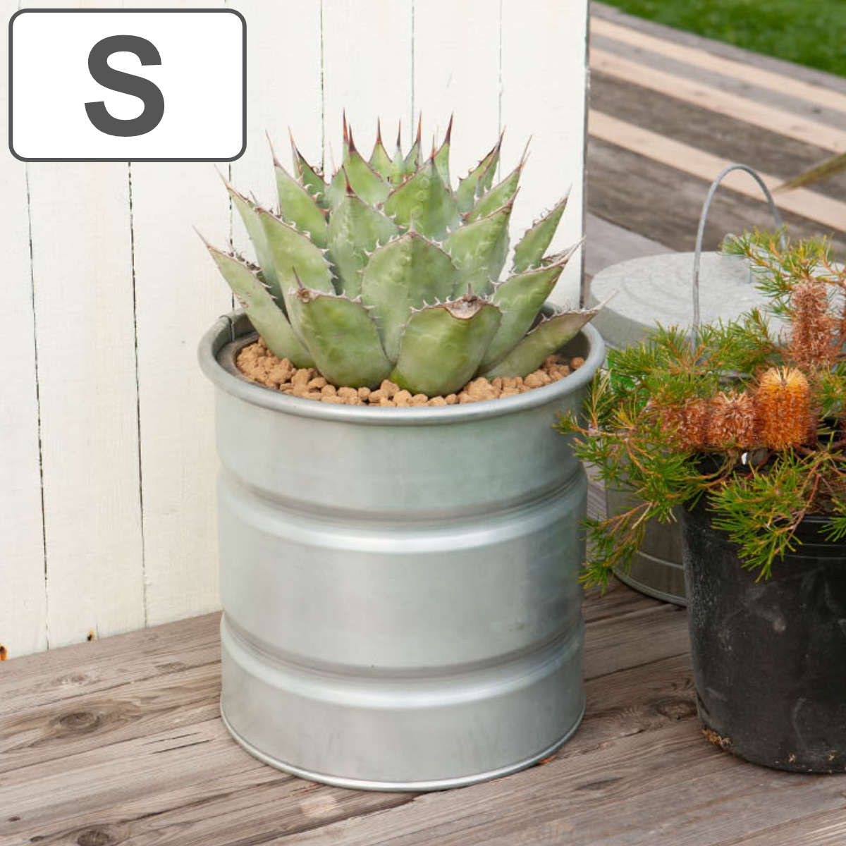 楽天市場】ドラム缶 プランターの通販