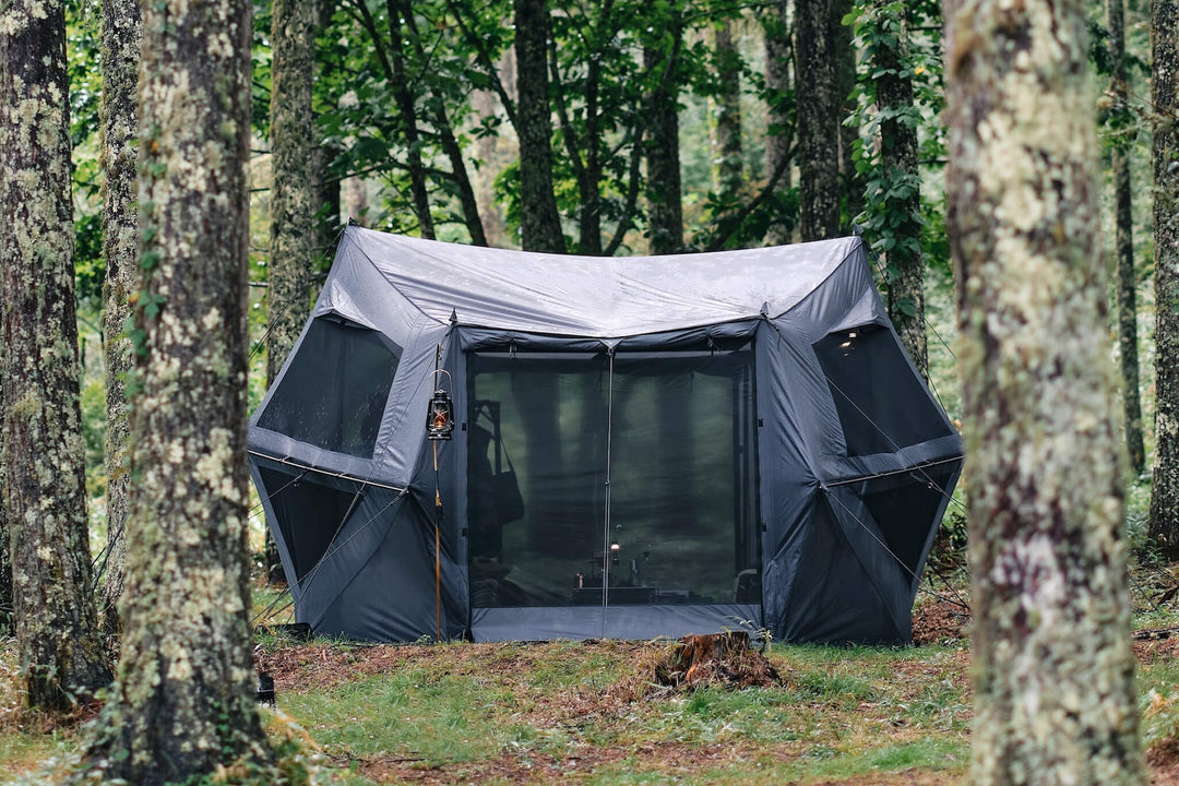 Grahus_Image_1080x.jpg?v=