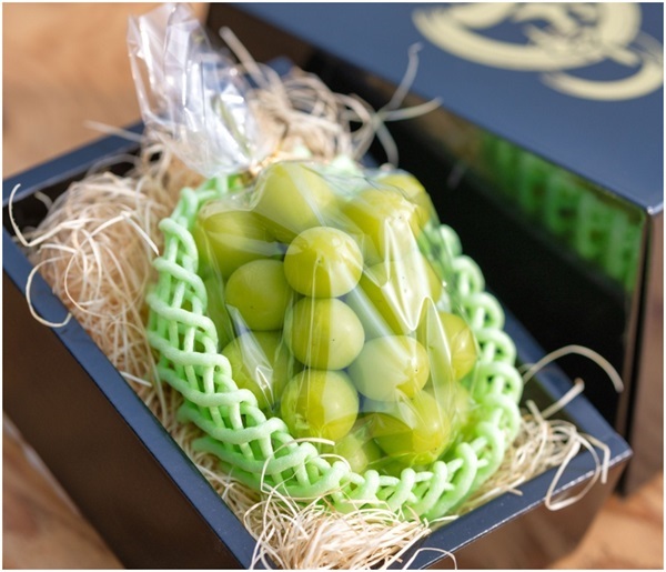 島根県邑南町「寺本果樹園」の「シャインマスカット」1房｜TSK