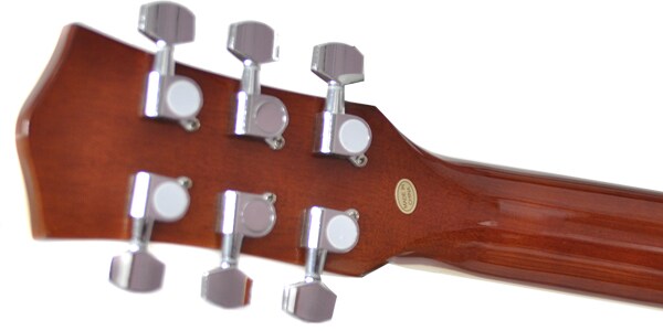 楽天市場】PLAYTECH（プレイテック） エレアコ ギター RG10