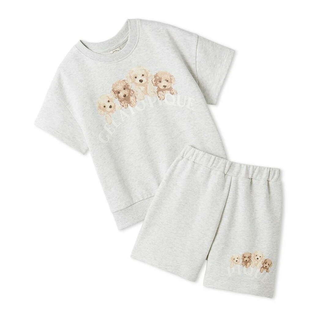 楽天市場】ジェラート ピケ ルームウェア トイプードルの通販