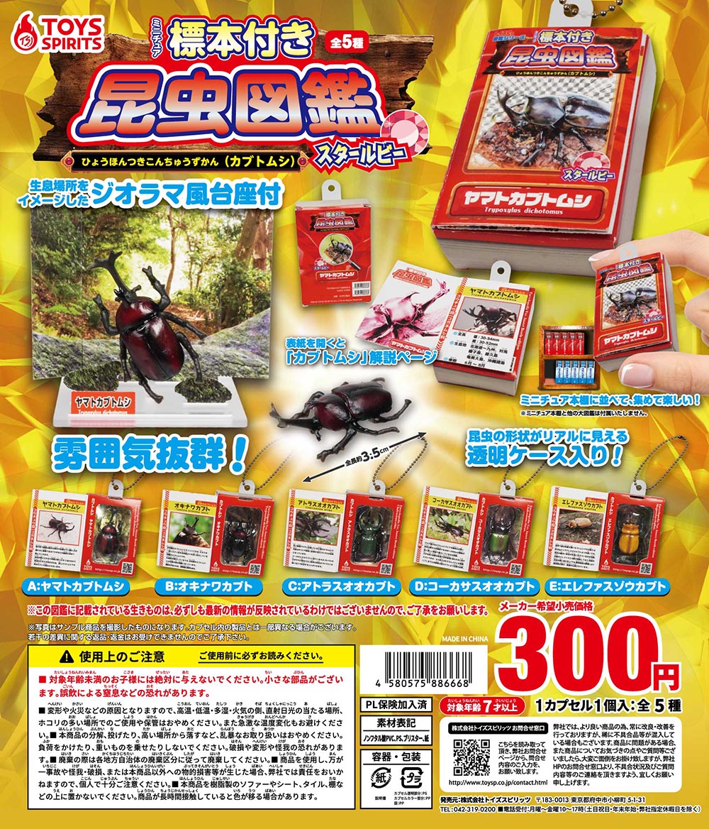 楽天市場】昆虫 標本（ホビー）の通販