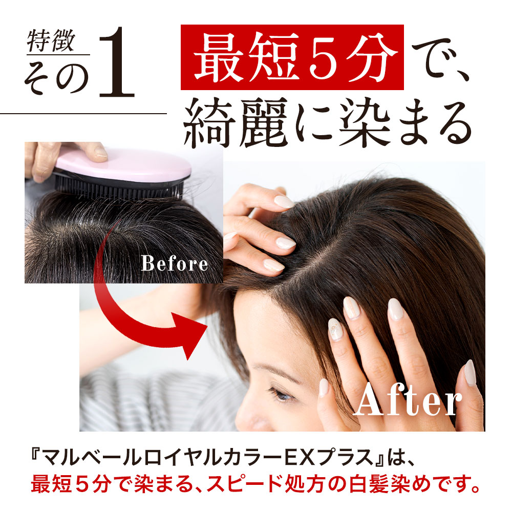 楽天市場】＼スーパーSALE最大1000円クーポン！ポイント10倍