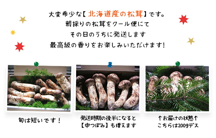 楽天市場】【予約商品】【9月中旬－10月上旬採れ次第発送】松茸 送料