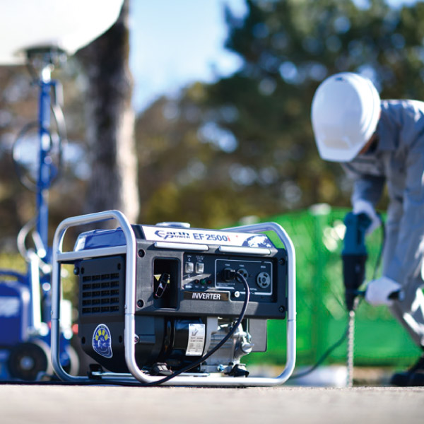 楽天市場】【8日は！枚数限定300円OFFクーポン】アースパワー