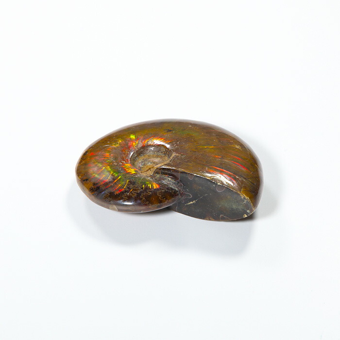 楽天市場】オパール化アンモナイト 化石 （マダガスカル産） No.45