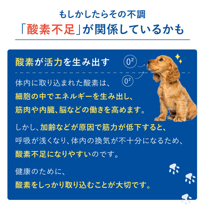 楽天市場】オーツーペット ペット 酸素室 酸素濃縮器 専用ケージ 酸素