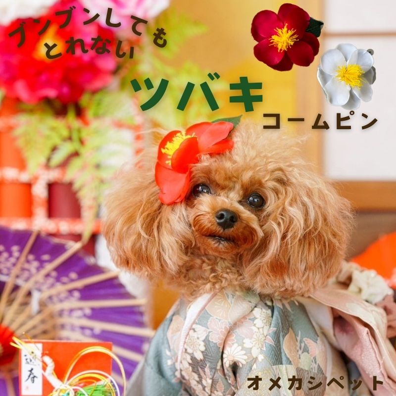 楽天市場】犬 花 飾り 着物 頭 冬 椿 ドッグ 【ブンブン取れない