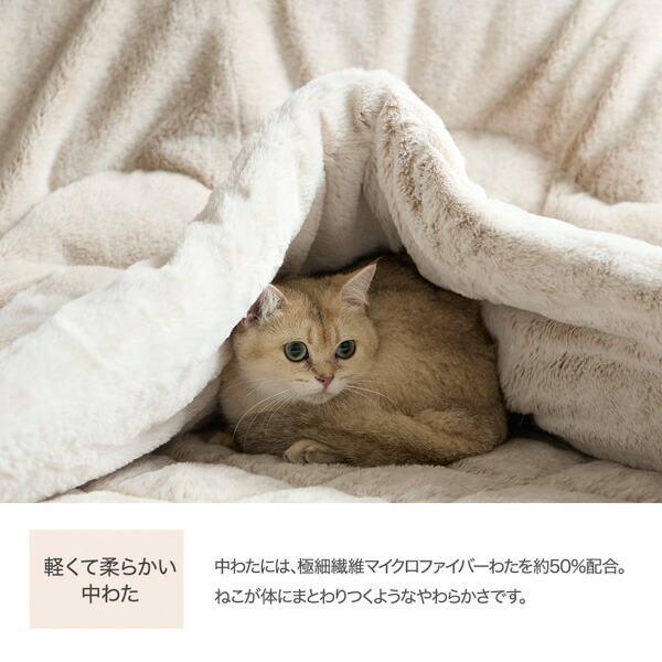 楽天市場】《3/11 1:59まで！P10倍×クーポン》≪TVで紹介≫【猫Feel