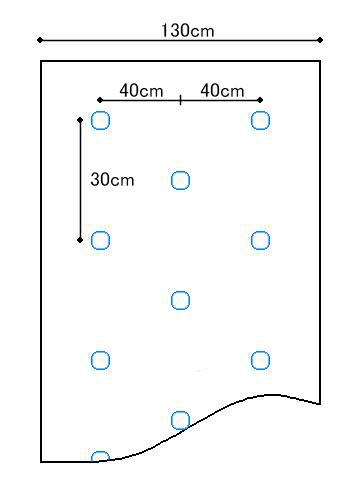 楽天市場】黒ホールマルチ幅130cm×長さ200m×孔60mm規格3330(穴あき