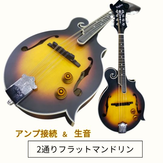 楽天市場】マイク搭載2通り演奏できるフラットマンドリンFタイプ