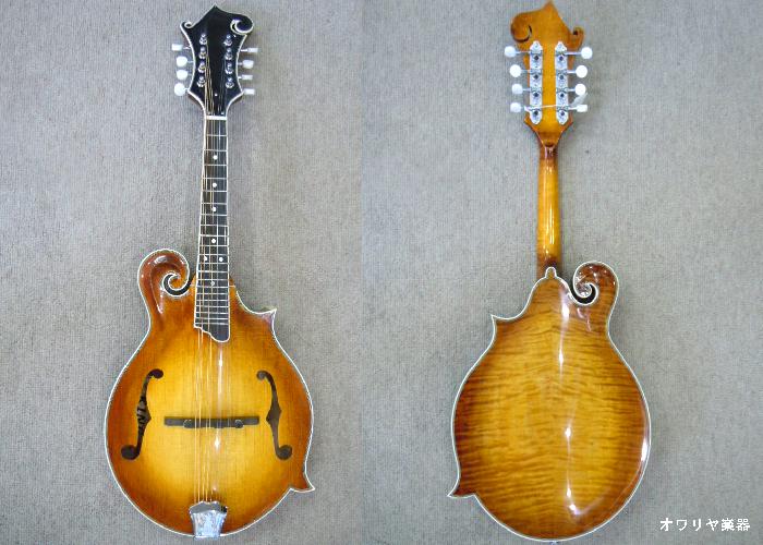 楽天市場】フラットマンドリン総単板・ハードケースセット f90df サン