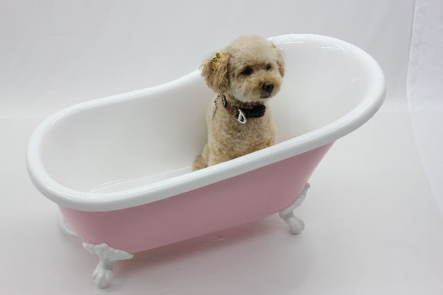 楽天市場】ペット用バスタブ ペットバス 犬 バスタブ 小型 猫足