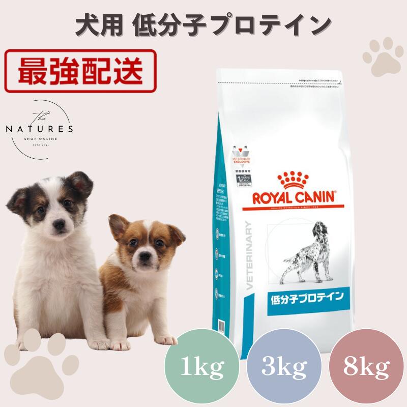 楽天市場】低分子プロテイン（ドッグフード・サプリメント｜犬用品