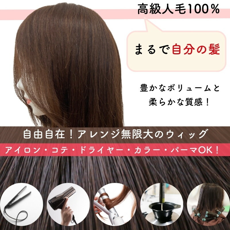 楽天市場】医療用ウィッグ 人毛100% ロング フルウィッグ ウィッグ 人