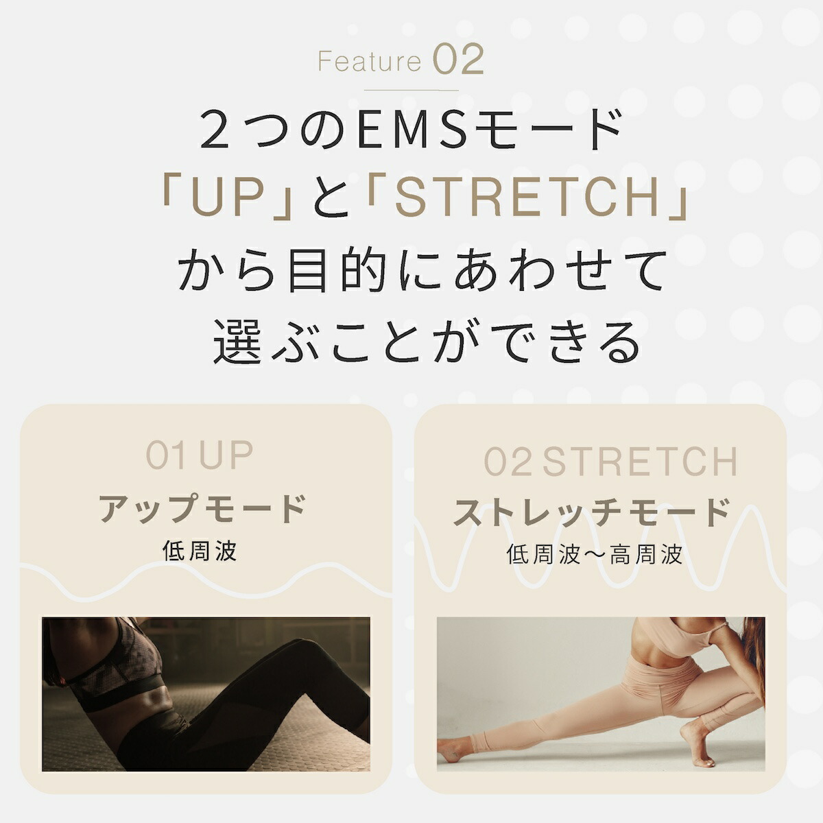 楽天市場】【最大P47倍&クーポン！〜3/11 1:59】ミーゼ スパトレーナー