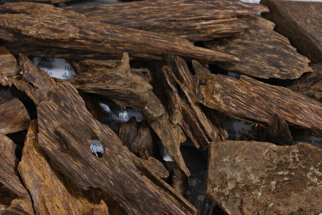 楽天市場】天然沈香【高ランク甘味 10g】量り売り 沈水香木 香木 沈香