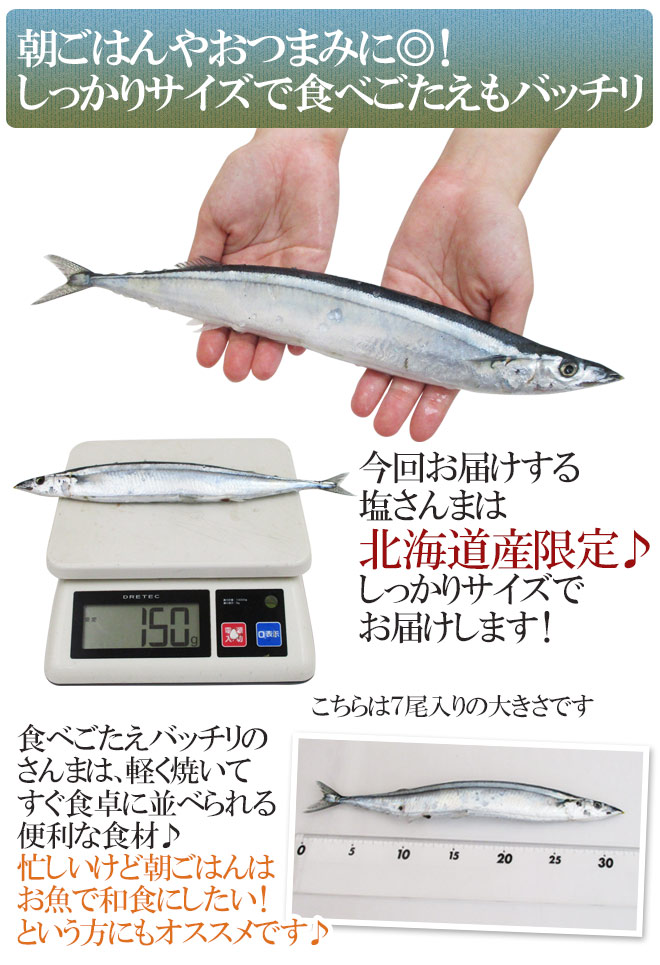 楽天市場】2025年新物！北海道産 ”塩さんま” 7〜9尾前後 約1kg サンマ