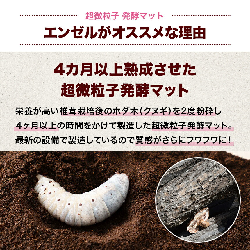 楽天市場】むしや本舗 カブトムシ産卵専用マット エンゼル カブトムシ