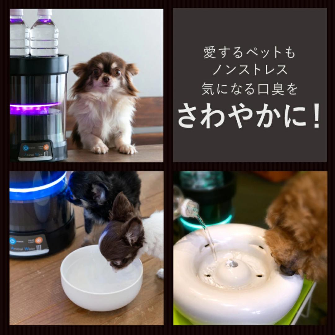 楽天市場】【今だけ3000円OFFクーポン+P4倍】 ペット 口腔洗浄水生成器