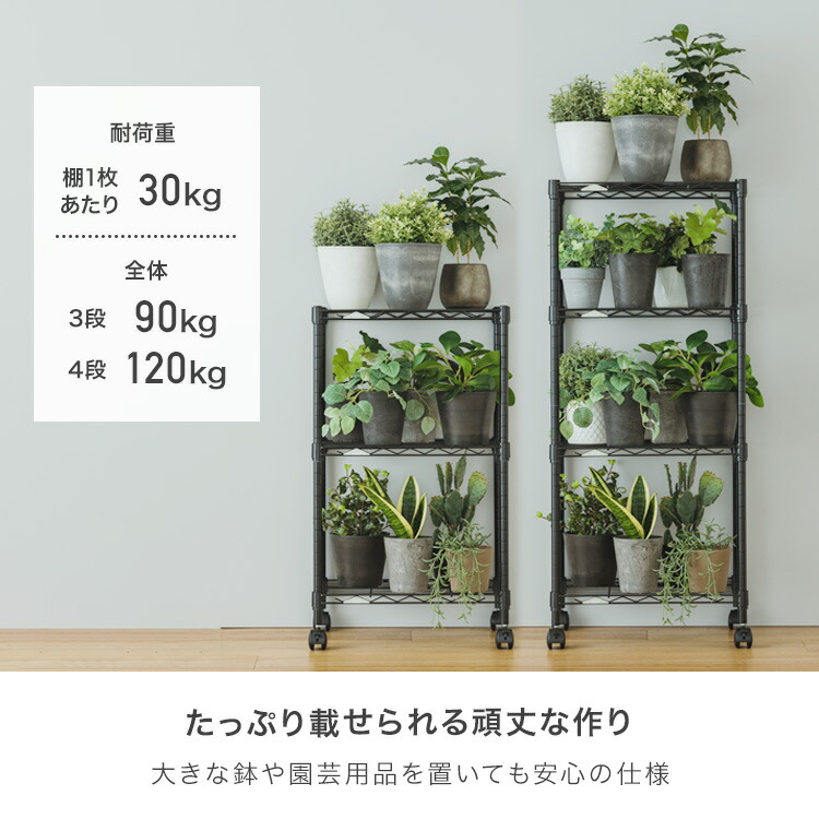 楽天市場】選べる5色 植物 棚 観葉植物 ラック 多肉植物 屋内 さびに