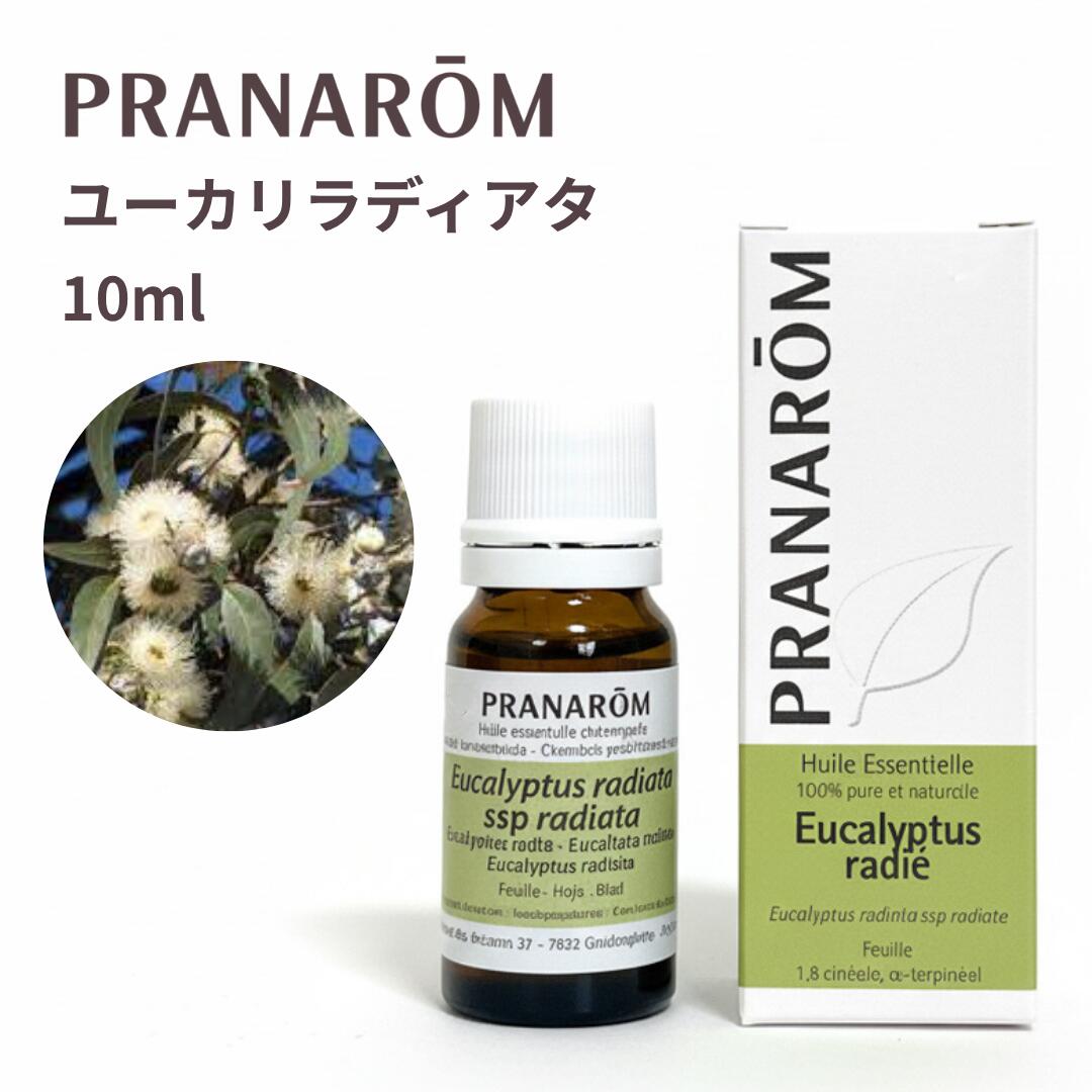 楽天市場】プラナロム ユーカリ・ラディアタ 10mlの通販