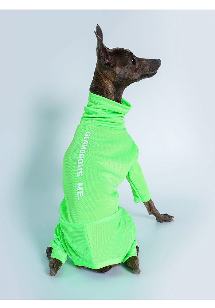 楽天市場】【送料無料】イタグレ 服 メッシュロンパース ネオンカラー