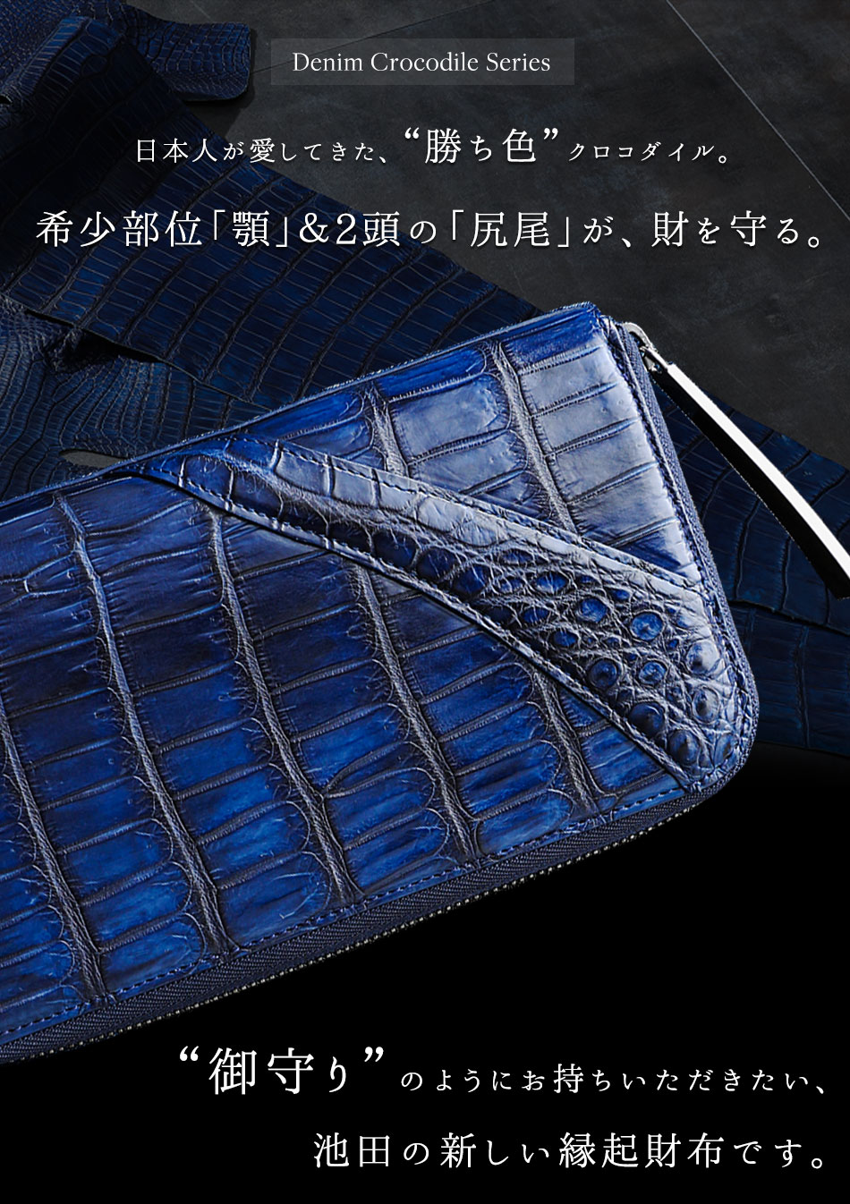 楽天市場】【池田工芸】最強の勝ち色“藍染めクロコダイル”2頭仕立て