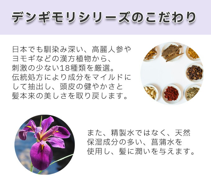 楽天市場】【2種セット】韓方 デンギモリ 珍気シャンプープレミアム 珍