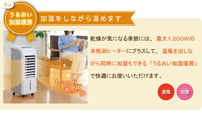 楽天市場】【クーポンで4500円OFF！3/11AM1:59まで】ゼンケン スリム