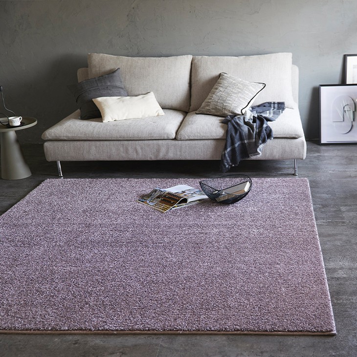 楽天市場】【50％OFFクーポン対象】 ラグ ルネ 190×190cm 23AW◇防炎