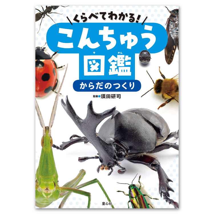 楽天市場】【ポイント2倍】くらべてわかる！こんちゅう図鑑（全4巻