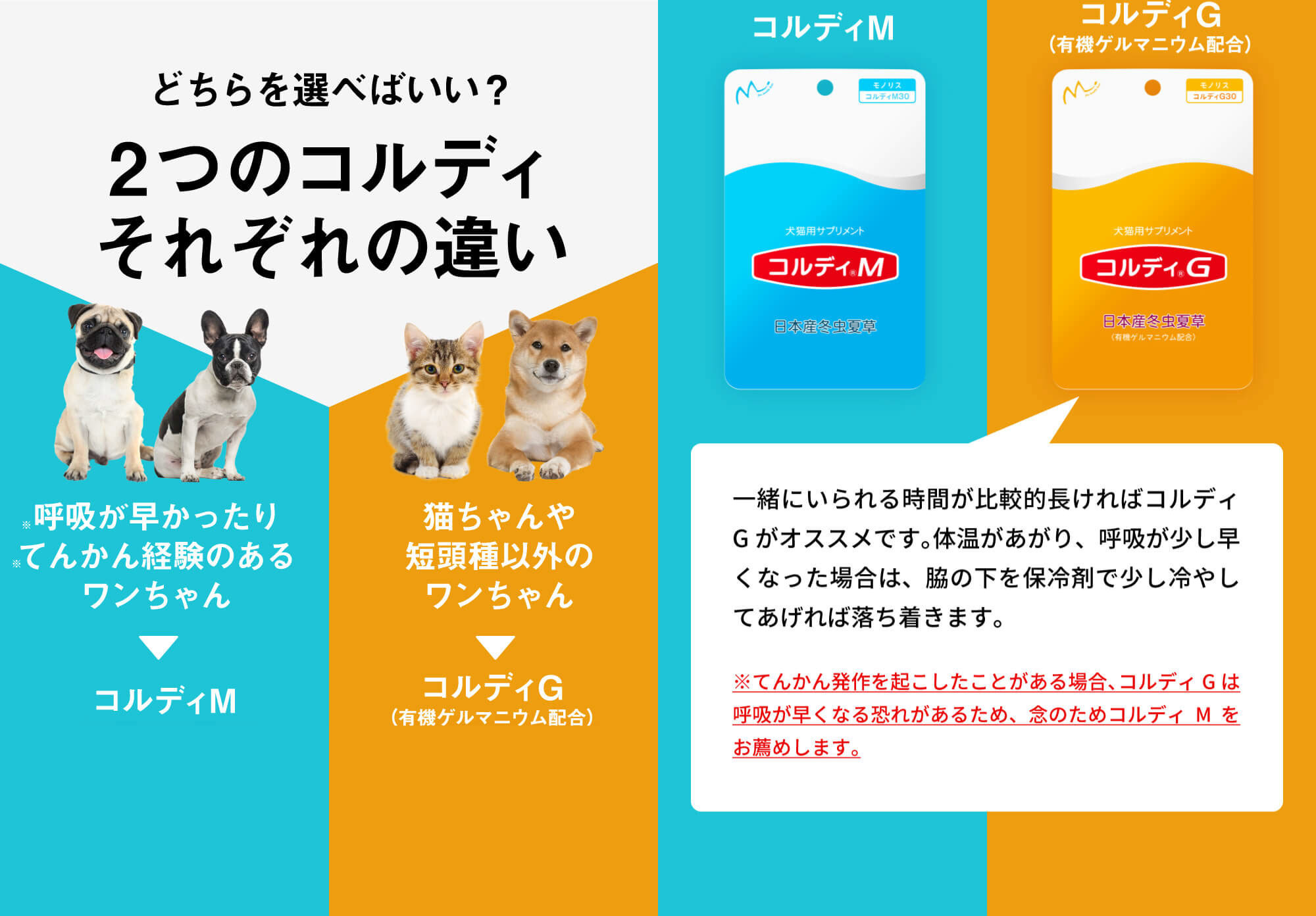 楽天市場】＼最大777円OFF！スーパーセール クーポン♪／犬 猫 サプリ