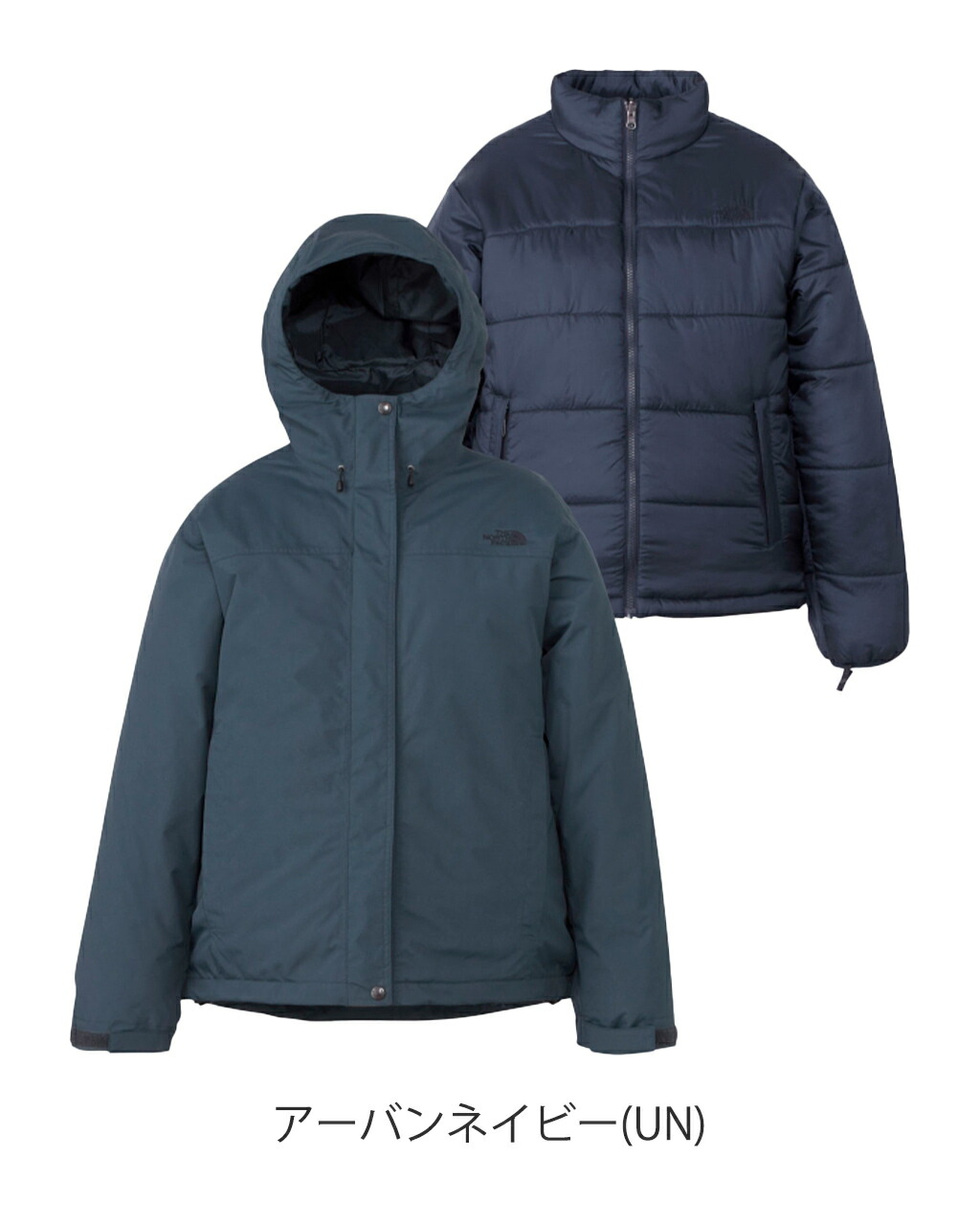 楽天市場】【SALE！20%OFF】ノースフェイス THE NORTH FACE カシウス