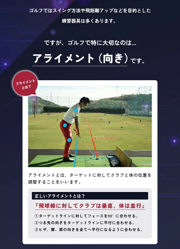 楽天市場】【練習器具】リンクス エックスビック エイミングビューLynx