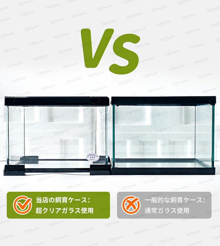 楽天市場】水陸両用 爬虫類ケージ テラリウム 爬虫類 飼育ケース 飼育